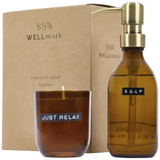 Wellmark Discovery 250 Ml:n Käsisaippua-annostelija Ja 150 G Tuoksukynttiläsetti – Bambun Tuoksu