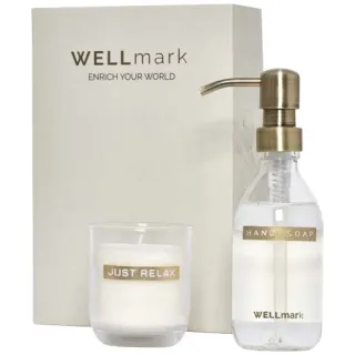 Wellmark Discovery 250 Ml:n Käsisaippua-annostelija Ja 150 G:n Tuoksukynttiläsetti