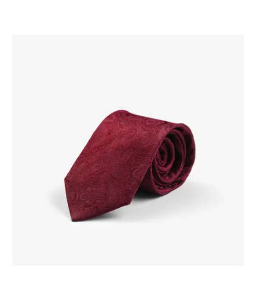 Giftbox Solid Paisley Tie Viininpunainen