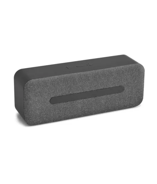 Thunder. Kannettava Kaiutin Mikrofonilla Tummanharmaa