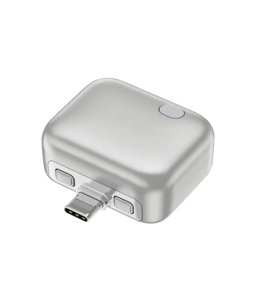 Chargeguard Rcs Automaattisesti Katkaiseva Usb-c-sovitin. Hopeanvärinen