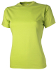 Auckland Lady Lime