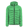 Base Jacket Vihreä
