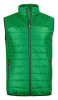 Expedition Vest Vihreä