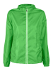 Fastplant Lady Lime