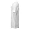 Scarsdale T-shirt Men Valkoinen