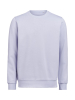 Um Crewneck Regular Fit Asteri