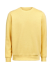 Um Crewneck Regular Fit Ray