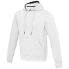 Arora Unisex-huppari, 300 G/m²