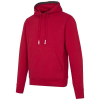 Arora Unisex-huppari, 300 G/m²