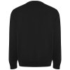 Batian Unisex -svetari Pyöreällä Kaula-aukolla, Organinen Puuvilla 