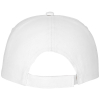 Feniks-lakki, 175 G/m²