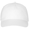 Feniks-lakki, 175 G/m²