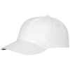 Feniks-lakki, 175 G/m²