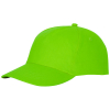 Feniks-lakki, 175 G/m²