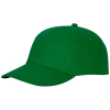 Feniks-lakki, 175 G/m²