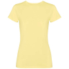 Fiyi Naisten Lyhythihainen T-paita, 180 G/m²
