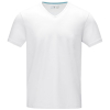 Kawartha Short Sleeve Men's Organic V-neck T-shirt