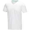 Kawartha Short Sleeve Men's Organic V-neck T-shirt
