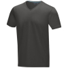 Kawartha Short Sleeve Men's Organic V-neck T-shirt