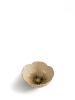 Byon Poppy Kulho, Beige