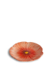 Byon Poppy Lautanen, Punainen