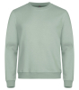 Clique Miami Roundneck Sage Green