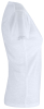 Clique Slub-t Women Valkoinen