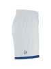 Craft Basket 2.0 Reversible Shorts W