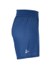 Craft Basket 2.0 Reversible Shorts W