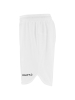 Craft Basket 2.0 Shorts M