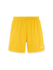 Craft Basket 2.0 Shorts M