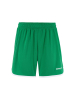 Craft Basket 2.0 Shorts M