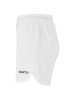 Craft Basket 2.0 Shorts W