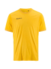 Craft Evolve 2.0 Graphic Jersey M Ruotsinkeltainen