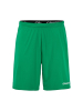 Craft Evolve 2.0 Shorts M Vihreä