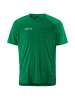 Craft Extend 2.0 Graphic Jersey M Vihreä