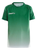 Craft Pro Control Fade Jersey Jr Team Green / White