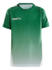 Craft Pro Control Fade Jersey Jr Vihreä/valkoinen