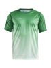 Craft Pro Control Fade Jersey M Team Green / White