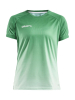 Craft Pro Control Fade Jersey W Team Green / White