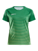 Craft Pro Control Stripe Jersey W Team Green / Craft Green