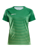 Craft Pro Control Stripe Jersey W Vihreä