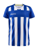 Craft Progress 2.0 Stripe Jersey Jr Club Cobolt / White