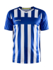Craft Progress 2.0 Stripe Jersey M Club Cobolt / White