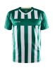 Craft Progress 2.0 Stripe Jersey M Team Green / White