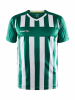 Craft Progress 2.0 Stripe Jersey M Vihreä/valkoinen