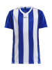 Craft Progress Jersey Stripe Jr Club Cobolt