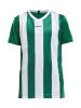 Craft Progress Jersey Stripe Jr Vihreä