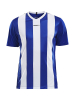 Craft Progress Jersey Stripe M Club Cobolt